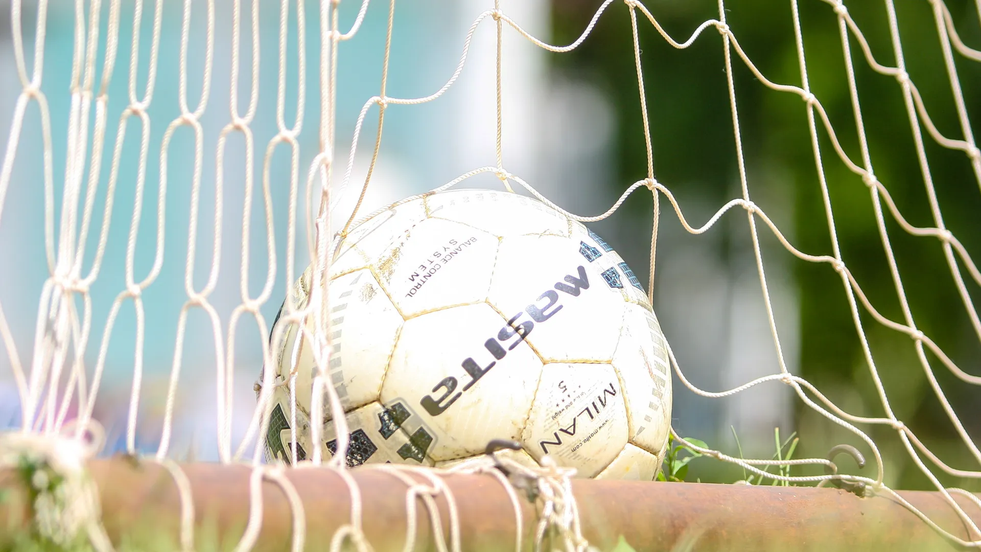 Фото: пресс-служба администрации г.о. Кашира