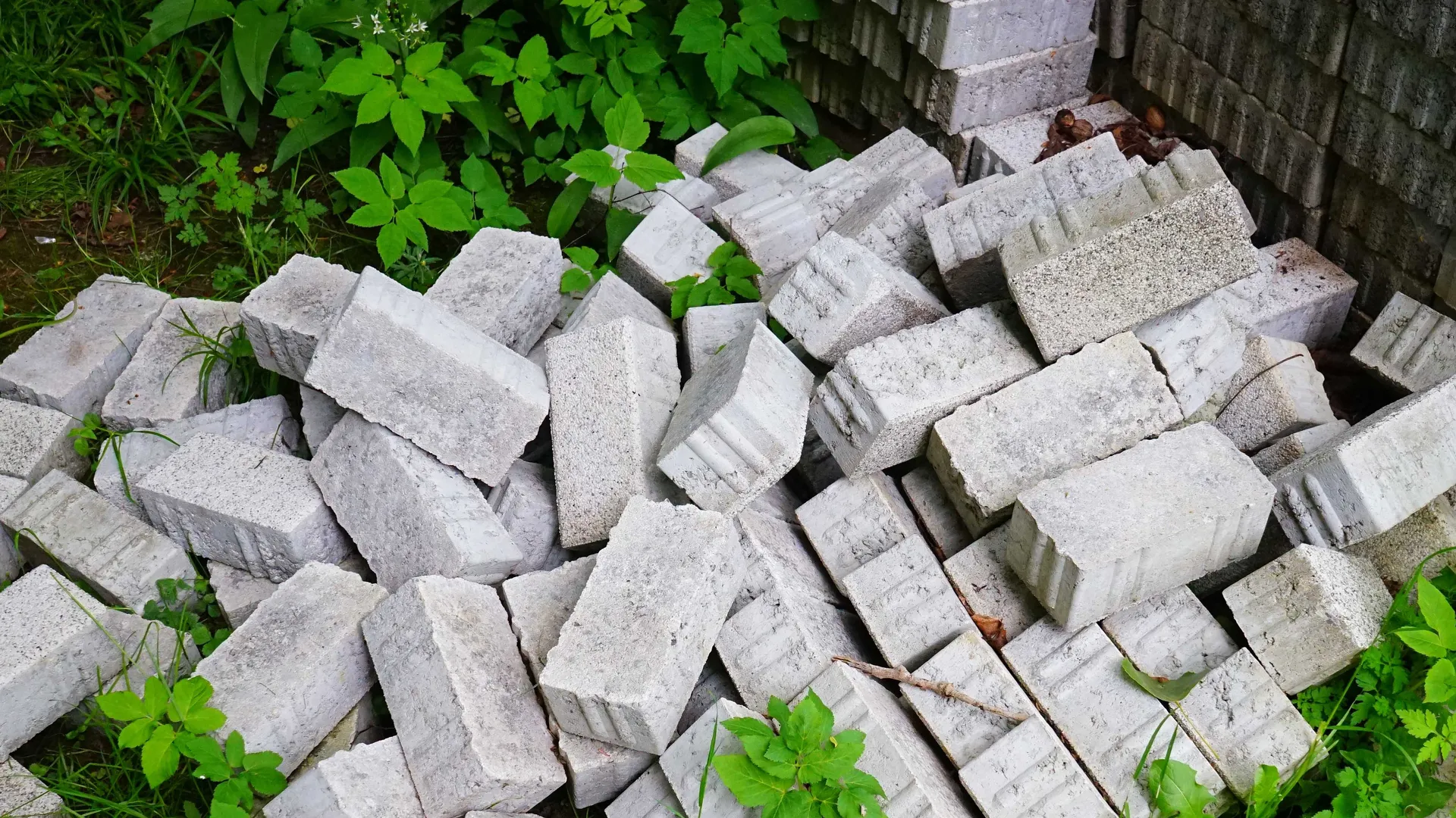 Фото: pxhere.com