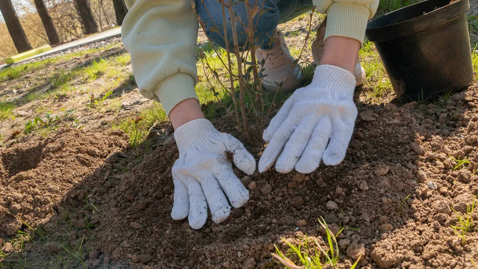 Фото: REGIONS/Наталия Надточая