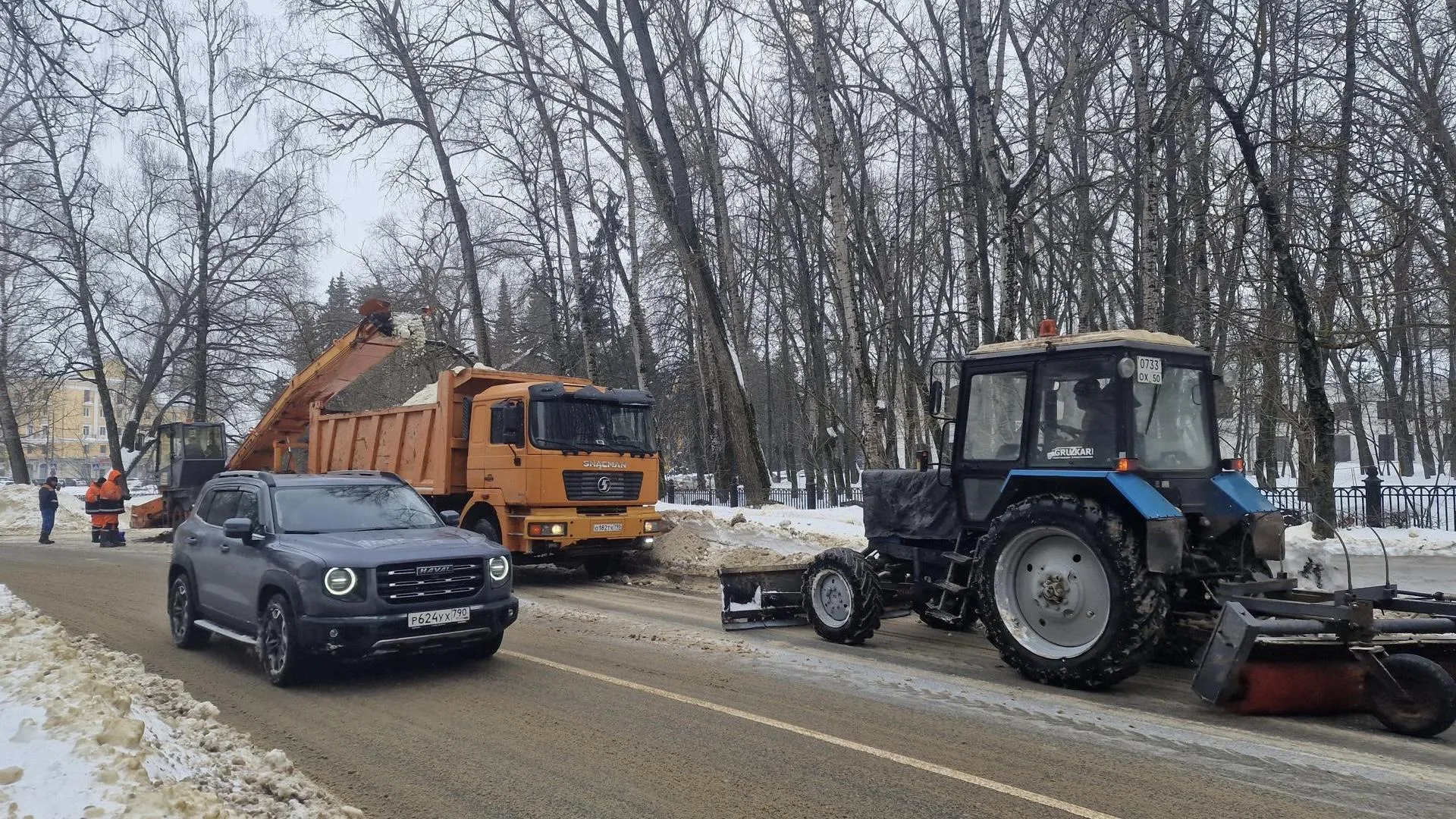 REGIONS/Ольга Шаронова