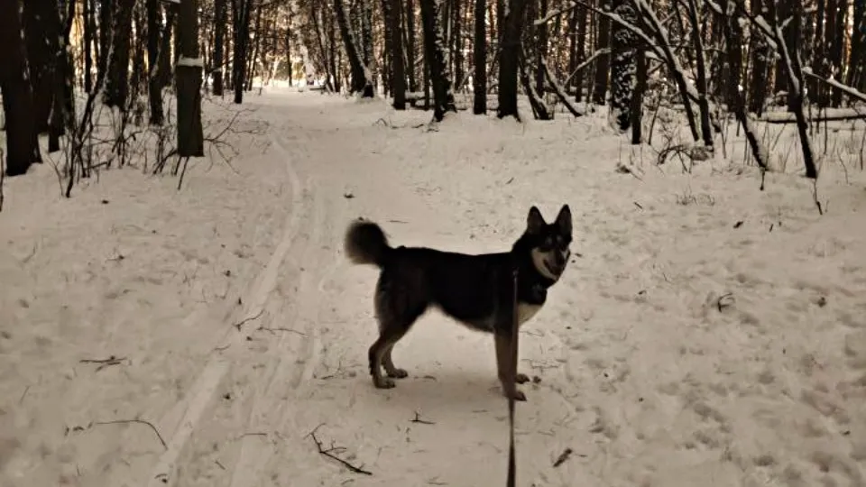 Фото: REGIONS/Максим Зубарев