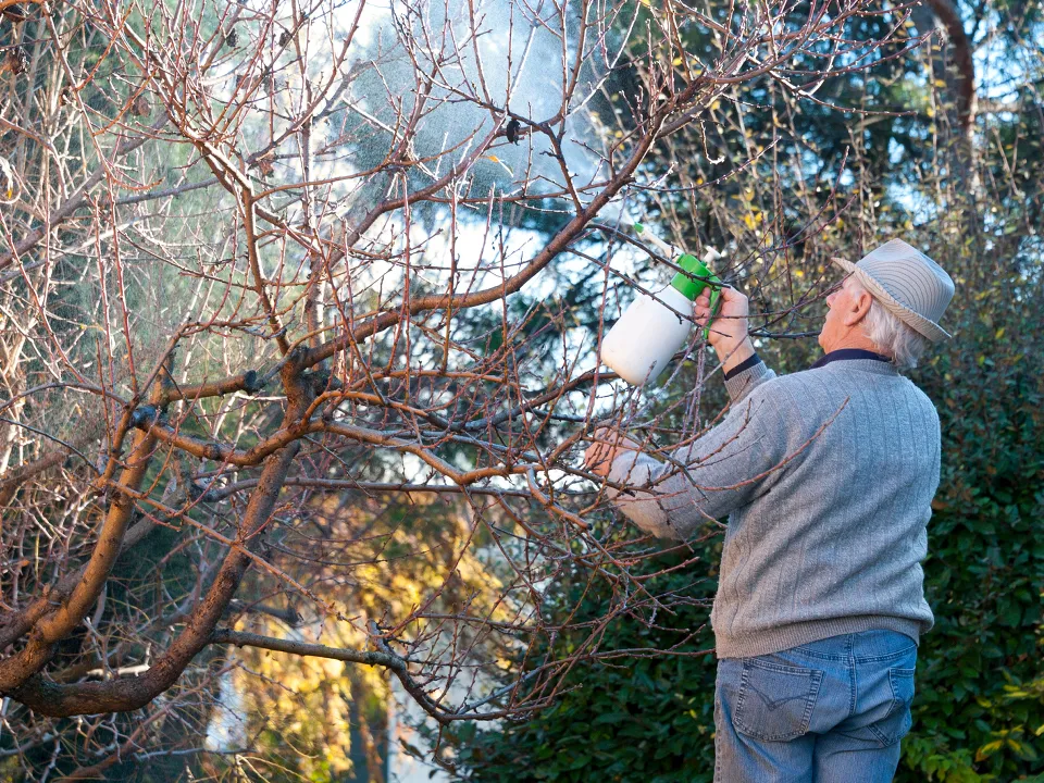 Фото: istockphoto.com/rudigobbo