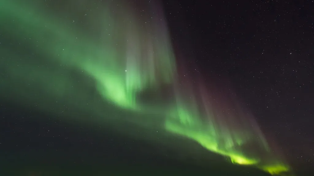 Фото: pxhere.com