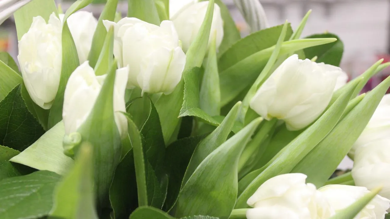 медиасток.рф