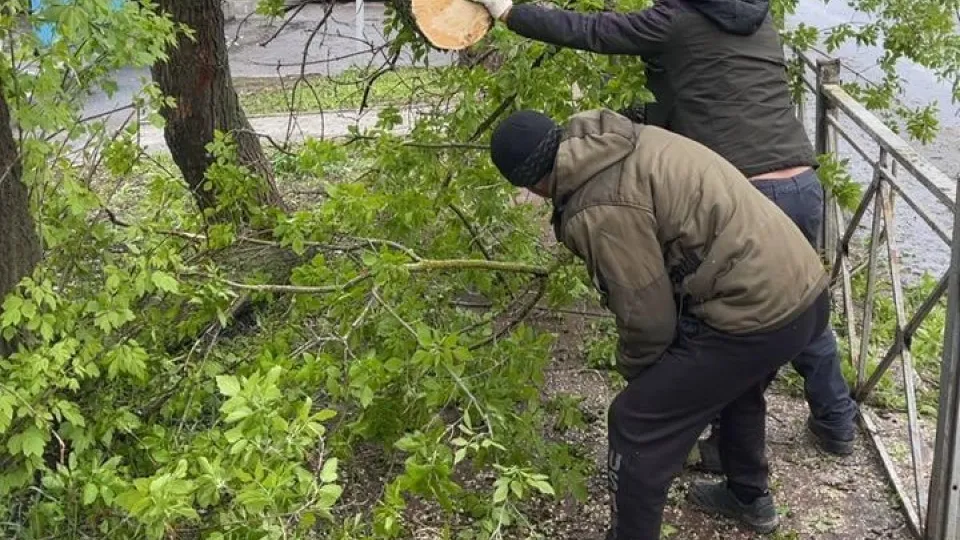 Фото: Администрация Химки г.о.