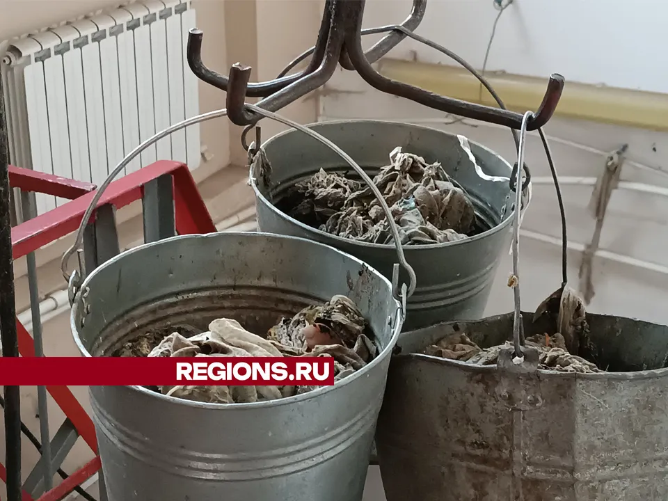 Фото: REGIONS/Роман Кутузов