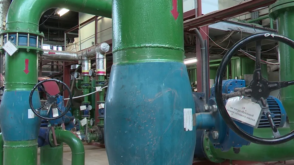 Фото: МедиаБанк Подмосковья/Ксения Казакова