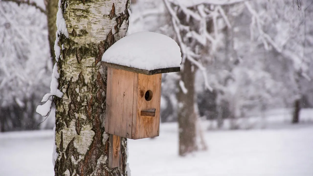 istockphoto.com/Vlad Petin