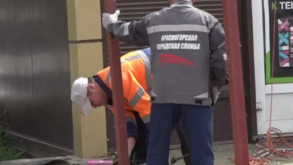 Фото: пресс-служба администрации г.о. Красногорск