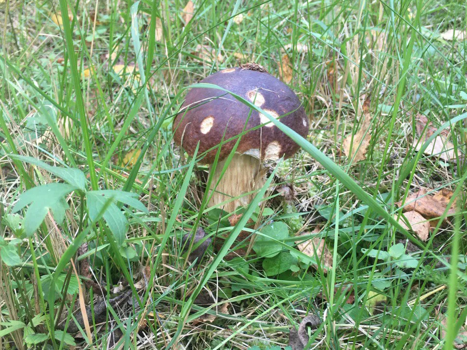 Фото: личный архив Кристины Шумбар