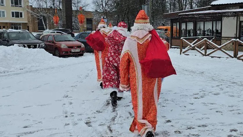 Фото: t.me/volonter_mozhaysk