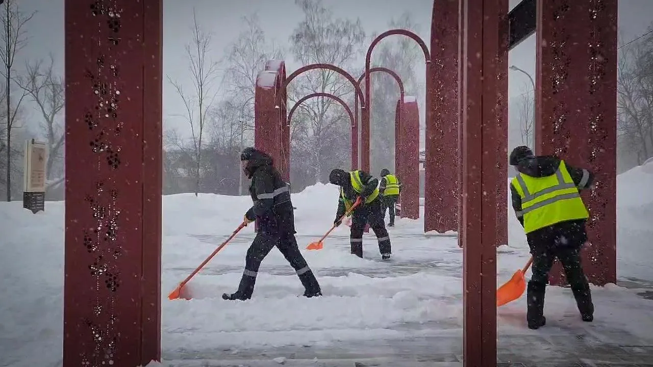 МедиаБанк Подмосковья/Ольга Антонова