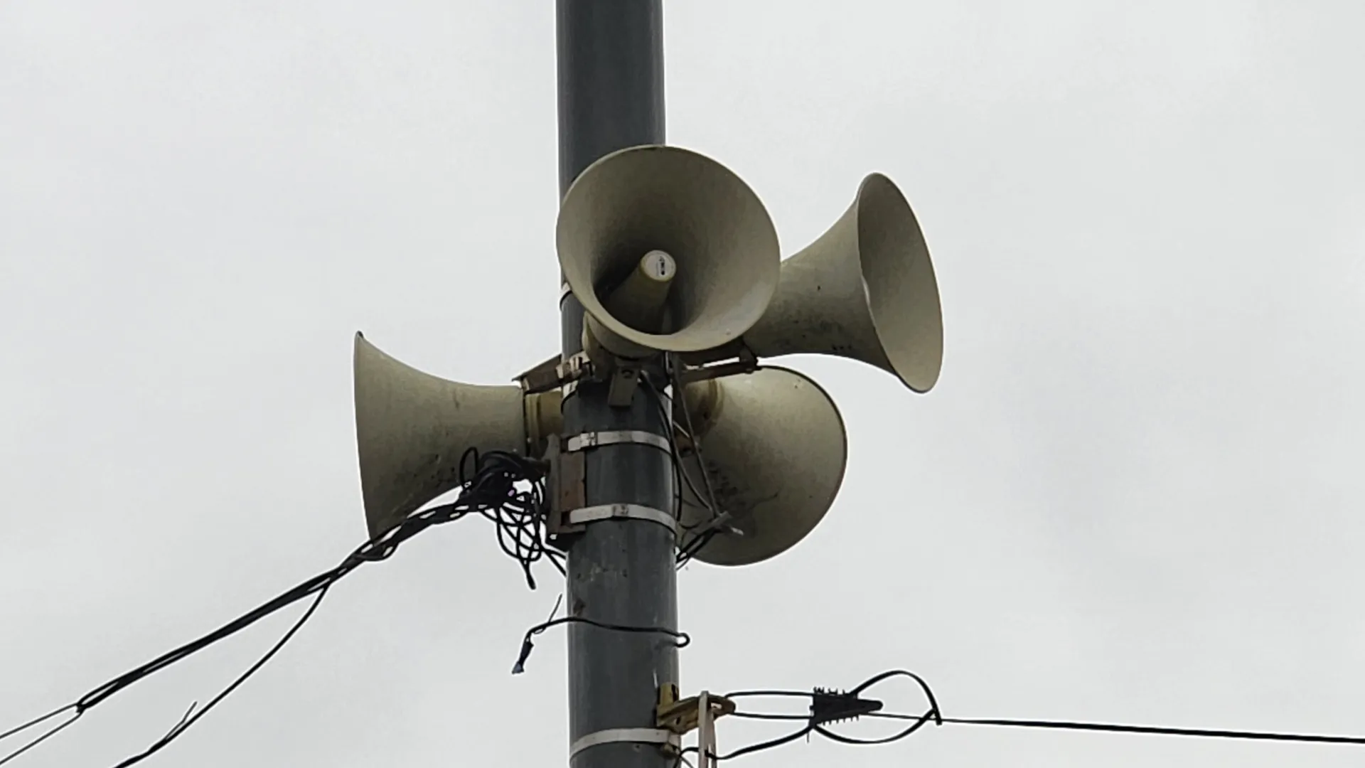 Фото: МедиаБанк Подмосковья/Дмитрий Павлов