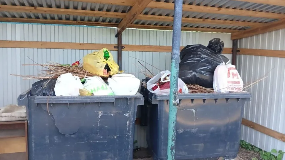 Фото: Анна Светлова