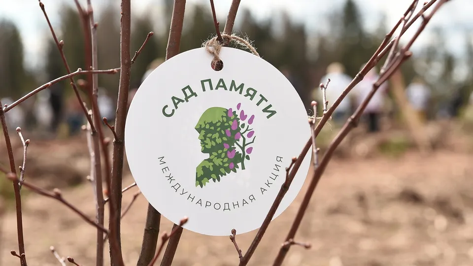 Фото: медиасток.рф