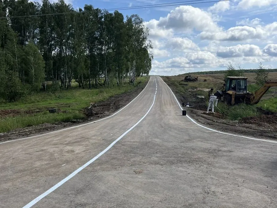 Дорога в д. Дятлово. Фото: пресс-служба губернатора и правительства Московской области