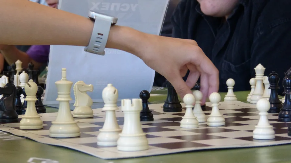 Фото: Фрязинский лесопарк