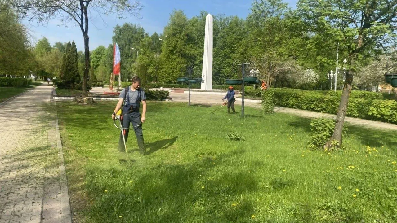 Картинка