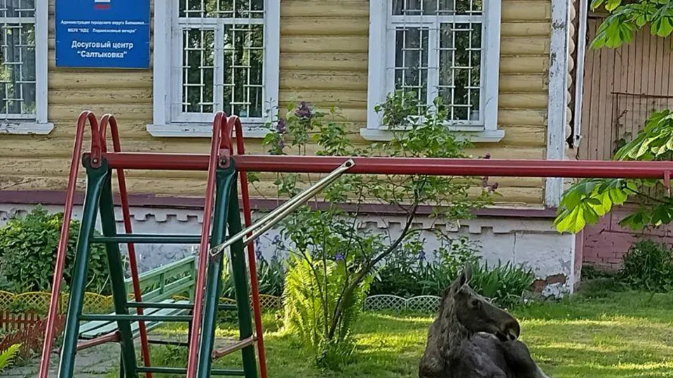 Фото: Минэкологии Подмосковья