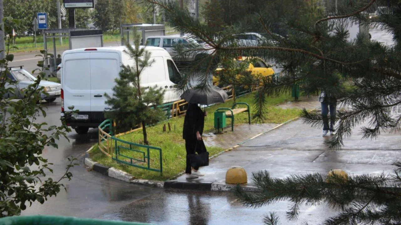 REGIONS/Анастасия Широкая