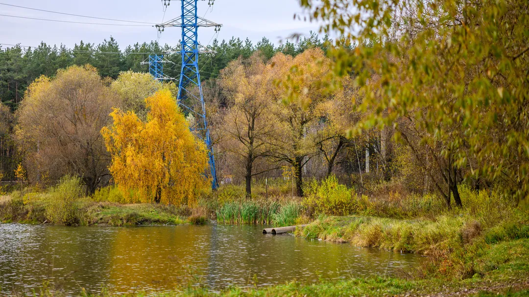 Фото: медиасток.рф
