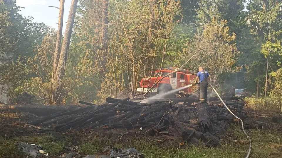 Фото: Комитет лесного хозяйства Московской области
