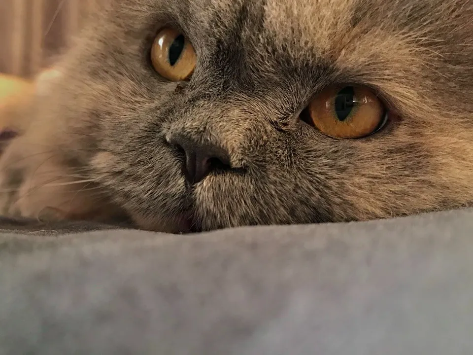 Фото: Максим Зубарев