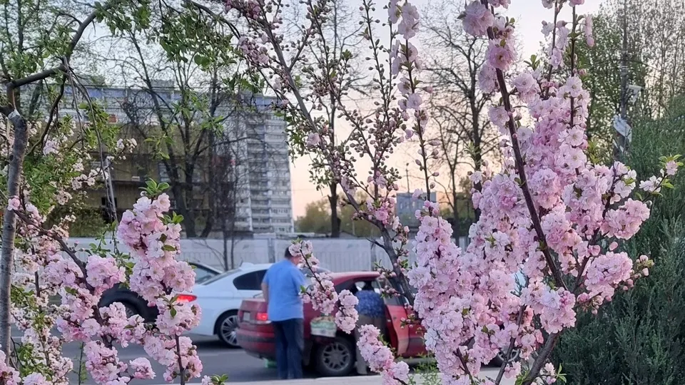 Фото: REGIONS/Юлия Алабина