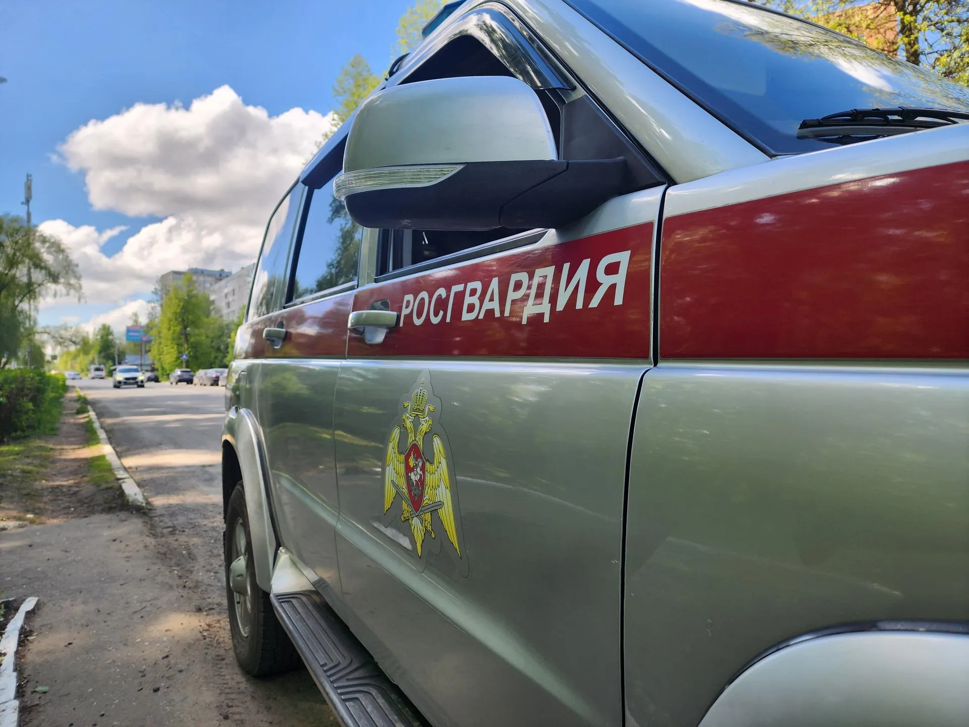 Фото: Светлана Плотникова