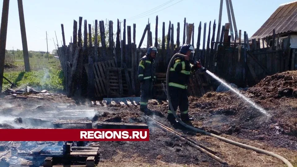Фото: пресс-служба администрации городского округа Луховицы