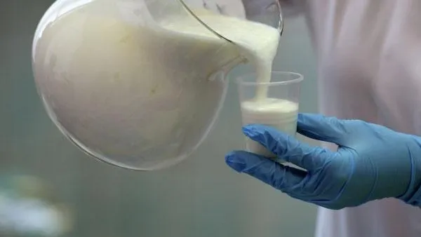 Жителей Подмосковья предупредили о молочном фальсификате из Приморья