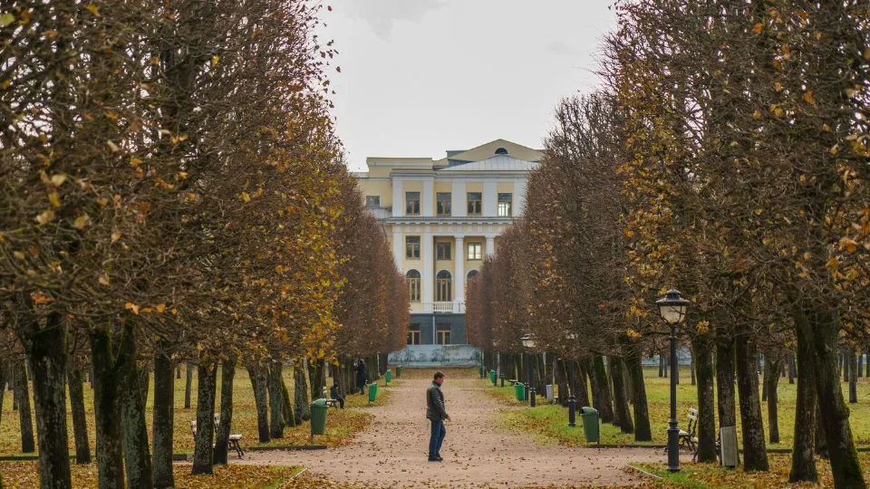 Фото: медиасток.рф