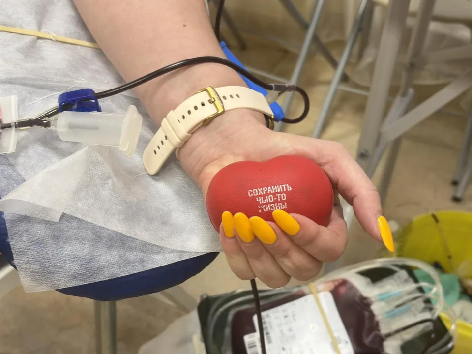 Фото: МедиаБанк Подмосковья/Анна Нестерова