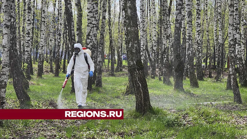 Фото: МедиаБанк Подмосковья/Иван Дубров