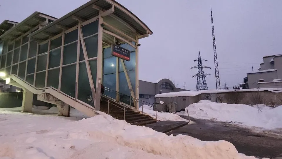 Фото: МедиаБанк Подмосковья/Валерия Исаева
