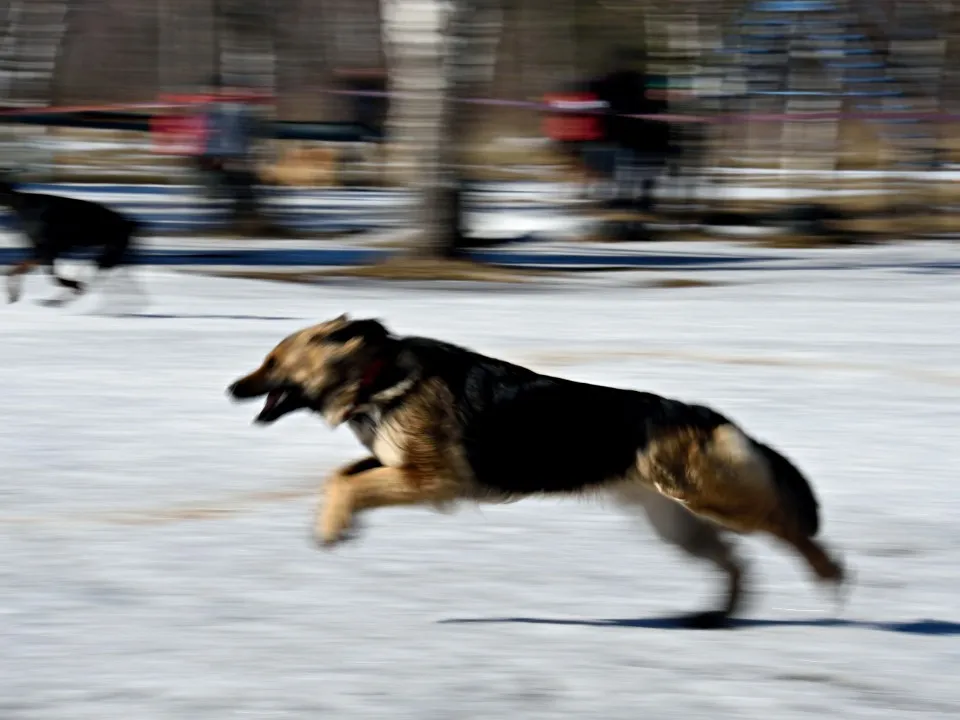 Фото: Ирина Зубарева