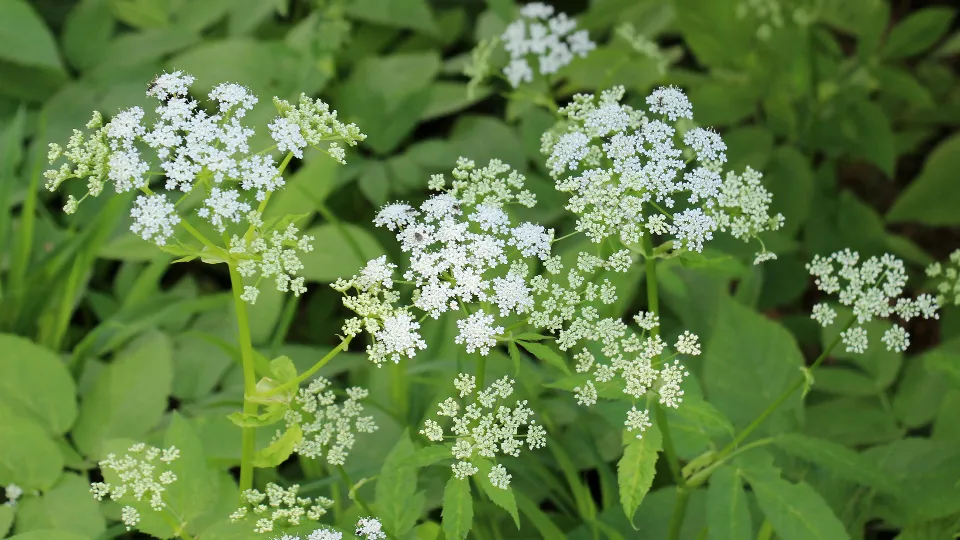 Фото: istockphoto.com