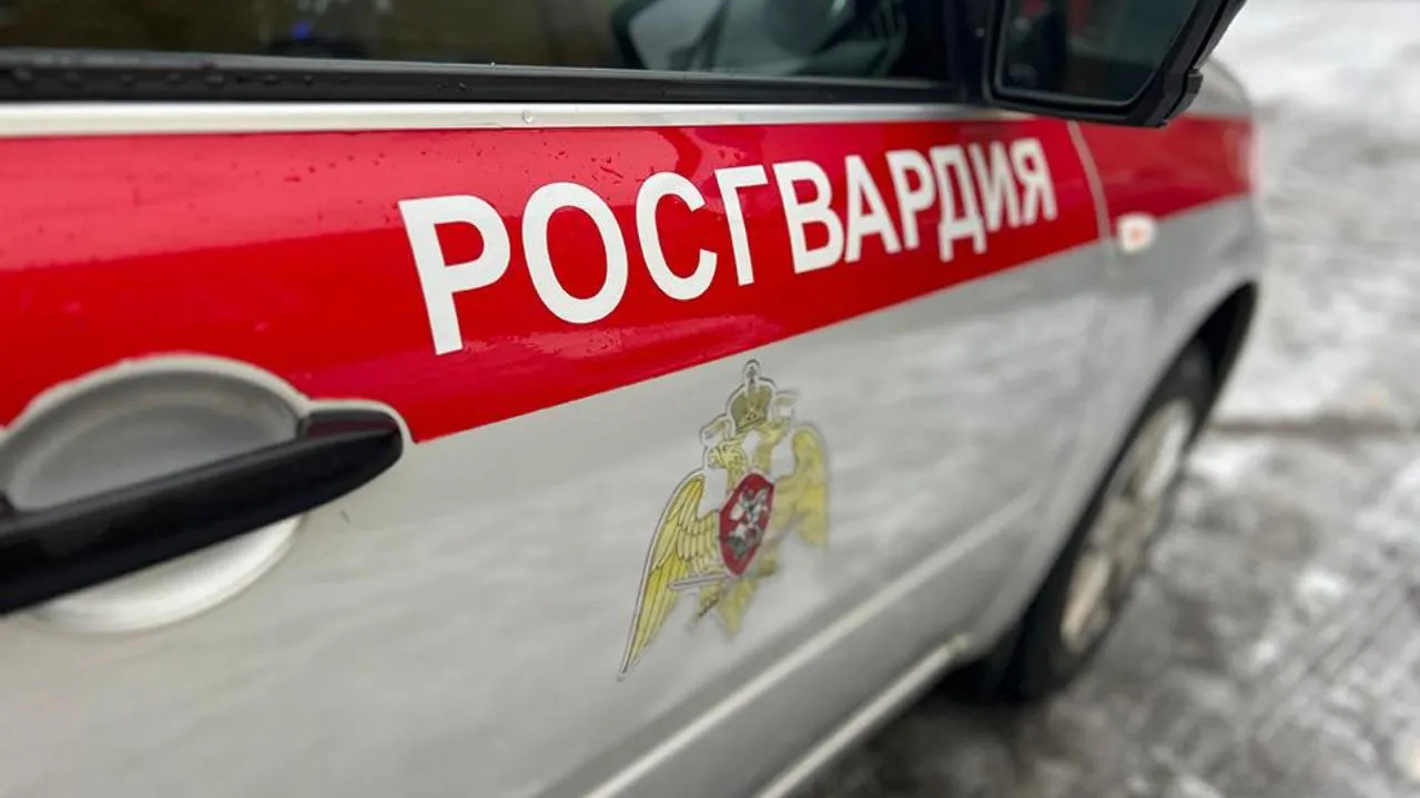 МедиаБанк Подмосковья/Евгения Герасимова