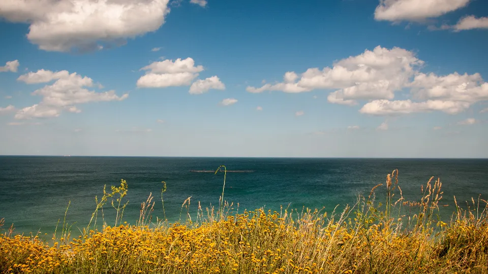 Фото: pxhere.com