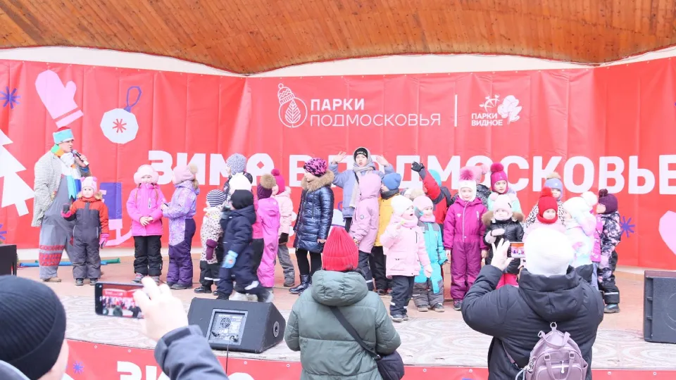 Фото: парк культуры и отдыха г. Видное