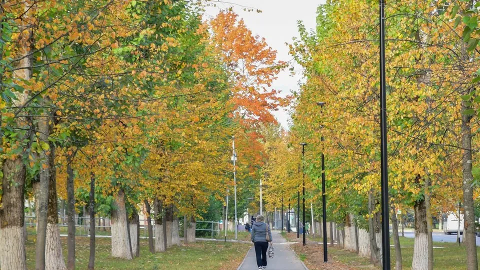 Фото: REGIONS/Наталья Бычкова