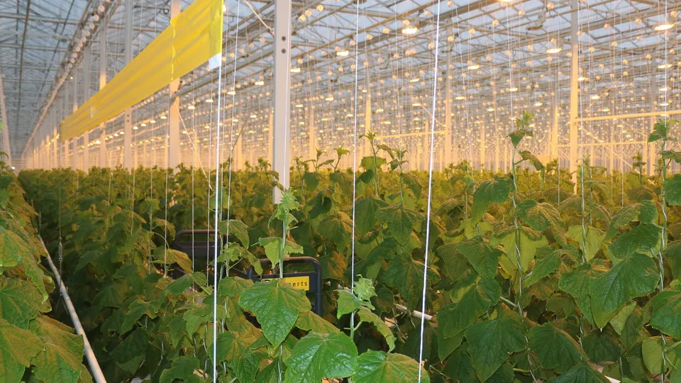 Фото: REGIONS/Александр Дрожжин