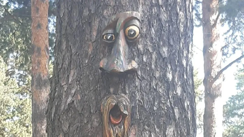 Фото: пресс-служба Администрации г.о. Котельники