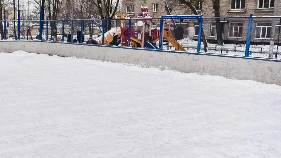 Фото: пресс-служба администрации городского округа Балашиха