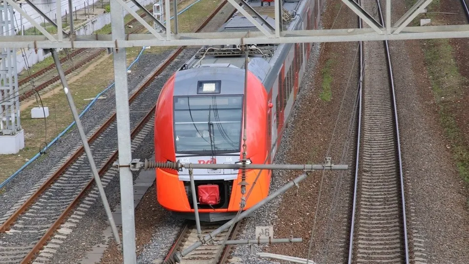 Фото: пресс-служба администрации г.о. Химки