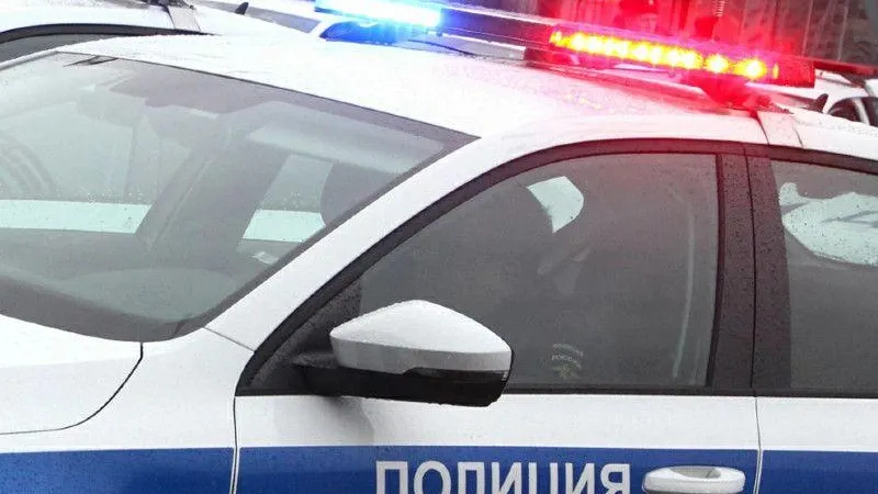 В Талдоме поймали серийного вора и мошенника