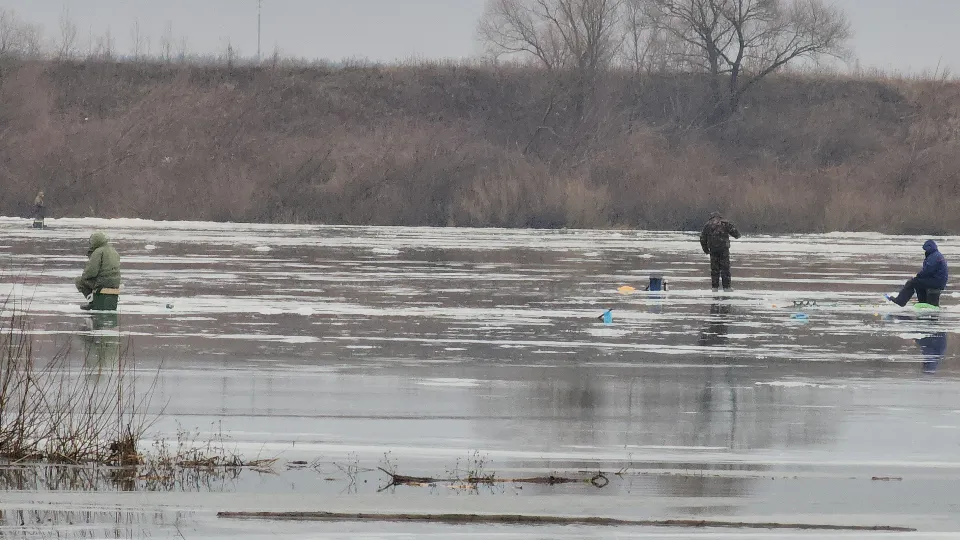 Фото: МедиаБанк Подмосковья/Иван Дубров