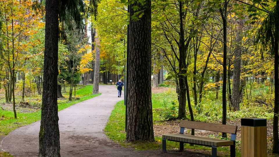 Фото: медиасток.рф