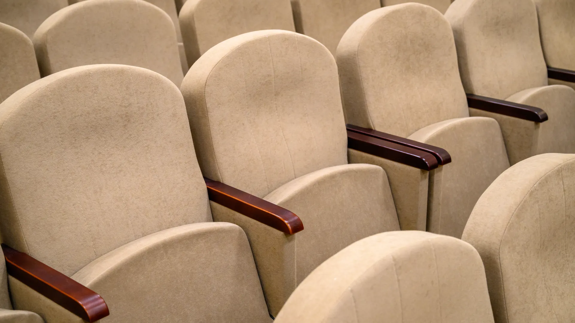 Концертный зал в Буньковском сельском культурно-спортивном комплексе п. Новостройка Богородского округа