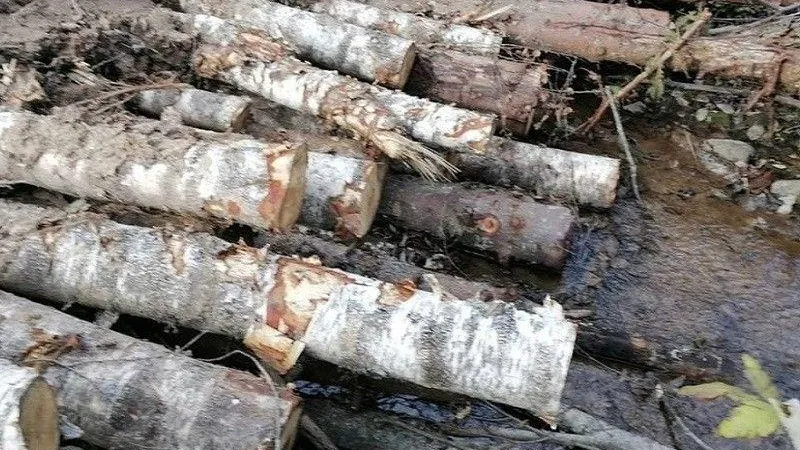 Пресс-служба Министерства экологии и природопользования Московской области
